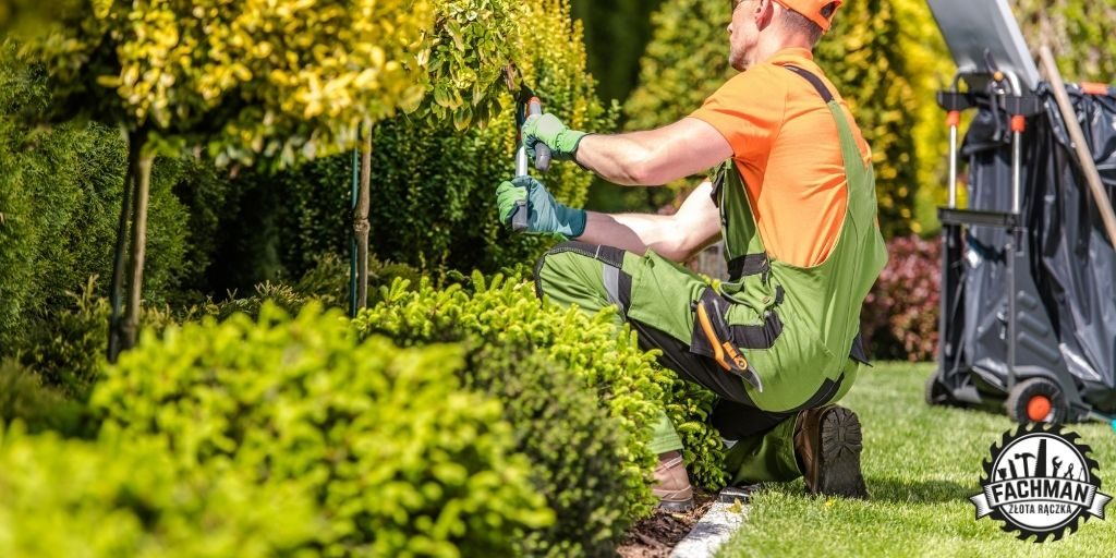 Uslugi ogrodnicze